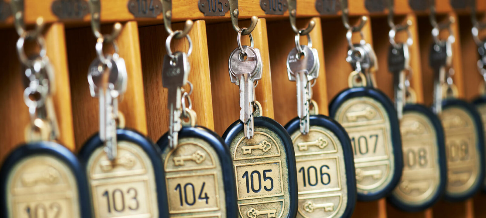 Greater Pine Island Chamber of Commerce