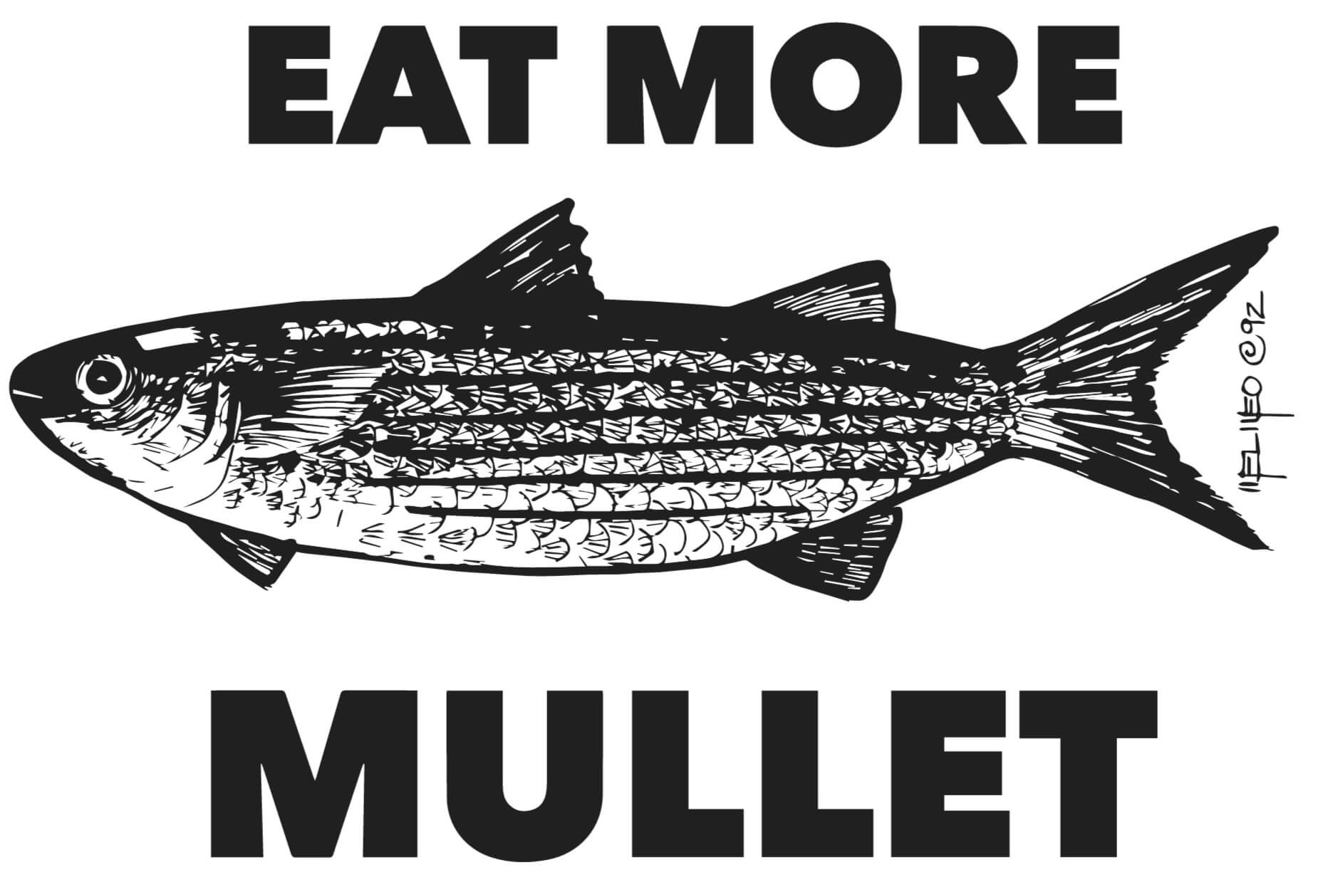 Mullet Fish Culture